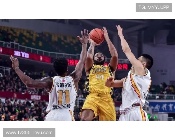 成都蓉城黑马崛起，逆袭表现惊艳赛场